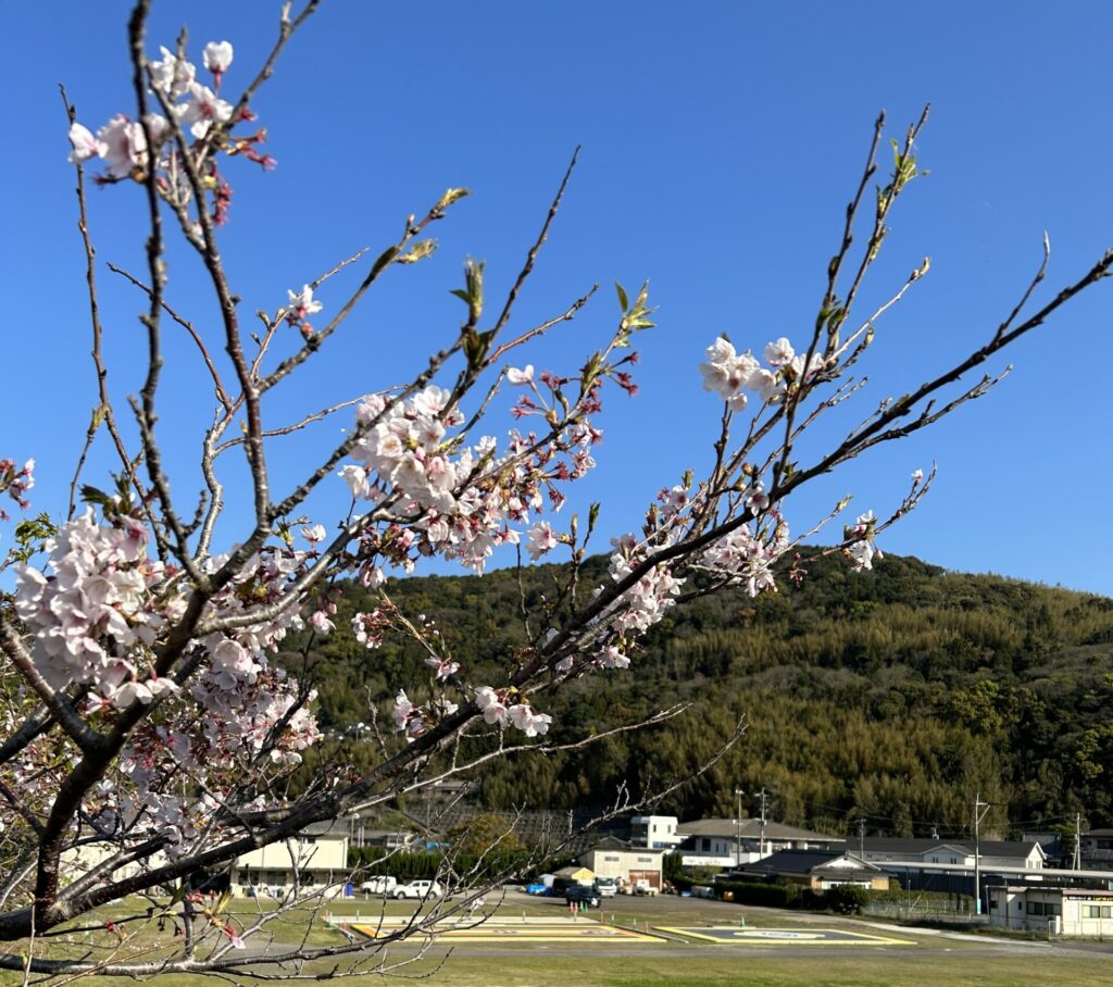 春の練習場
